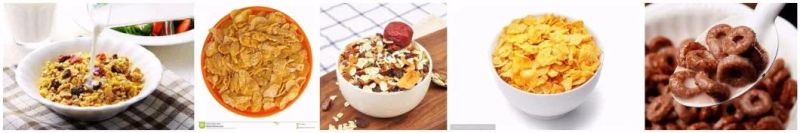 China Professional Breakfast Cereal Extruder