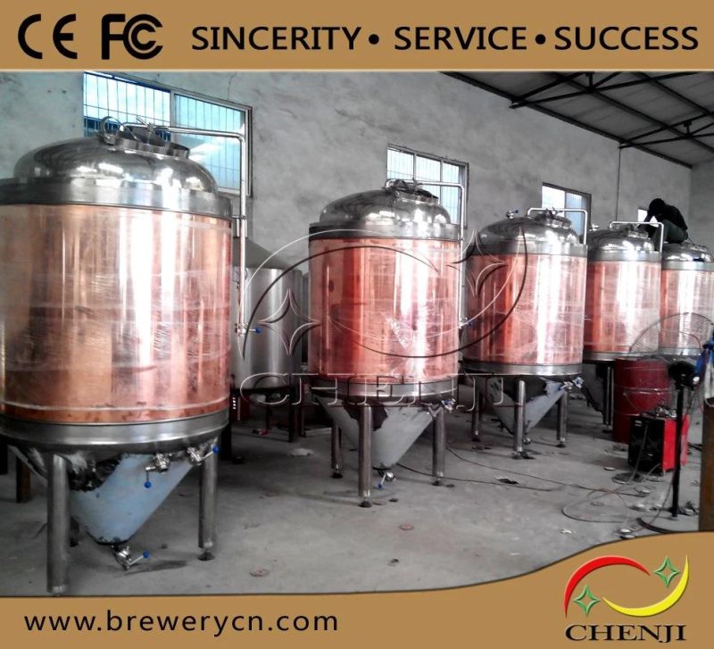 300L Brewpubs Beer Making Machine with Copper Cladding