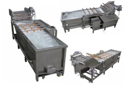 Top Quality Vegetable Fruit Air Bubble Washing Production Line