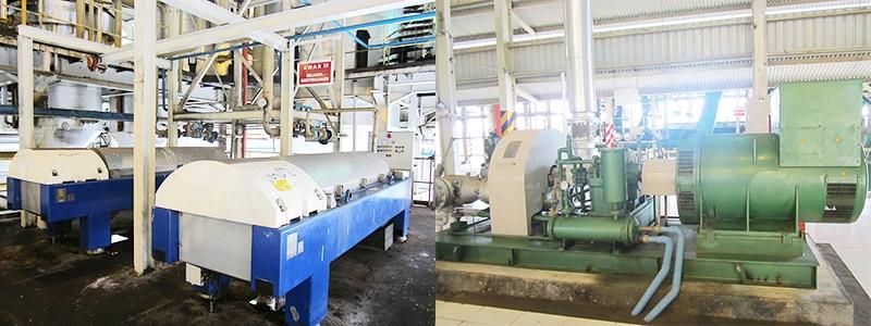 10t Palm Fruit Oil Processing Press Extraction Making Machine