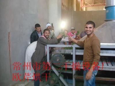 Parsley Large Capacity Drying Machine