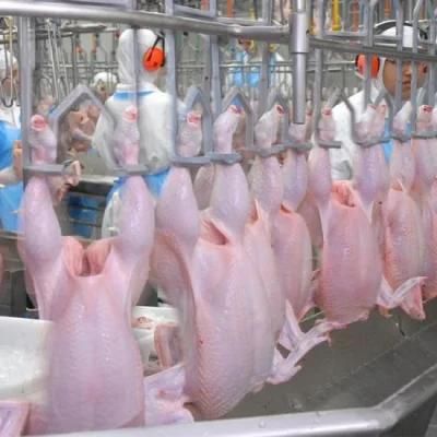 Good Quality Ce Certificate Poultry Chicken Slaughterhouse/Chicken Slaughter Line