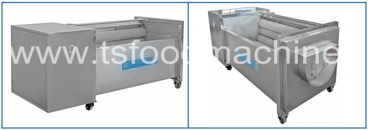 Automatic High Efficiency Potato Carrot Brush Washer Peeler Fish Cleaning Machine