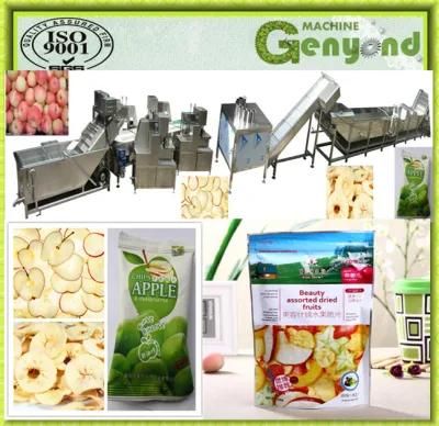 Automatic Apple Chips Making Machine
