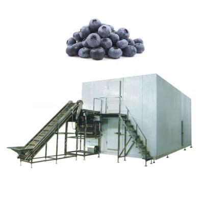 5000kg Quick Freezer Freezing Machine Fruit Vegetable for Sales