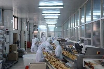 Touch Screen Display S4 Ice Cream Wafer Biscuit Production Line