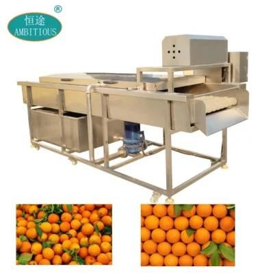 Orange Cleaning Machine Orange Brush Washing Machine