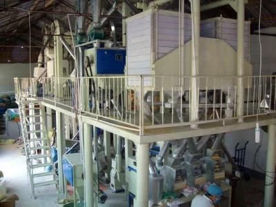 Maize Flour Milling Machine Offer with Capacity of 20 Tons and 50 Tons Per Day