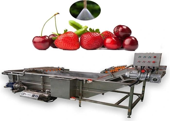 Food Washing Processing Line Vegetable Air Washer Machine
