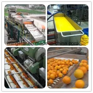 Turnkey Project Complete Orange Juice Production Line