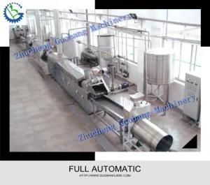 Hot Sale Fully Automatic Potato Chips Product Line (GB-100)