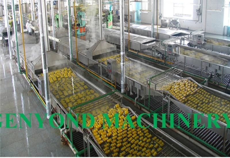 Hot Sell Canned Fruit Production Line