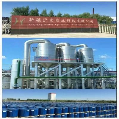 Banana Pulp Processing Equipment