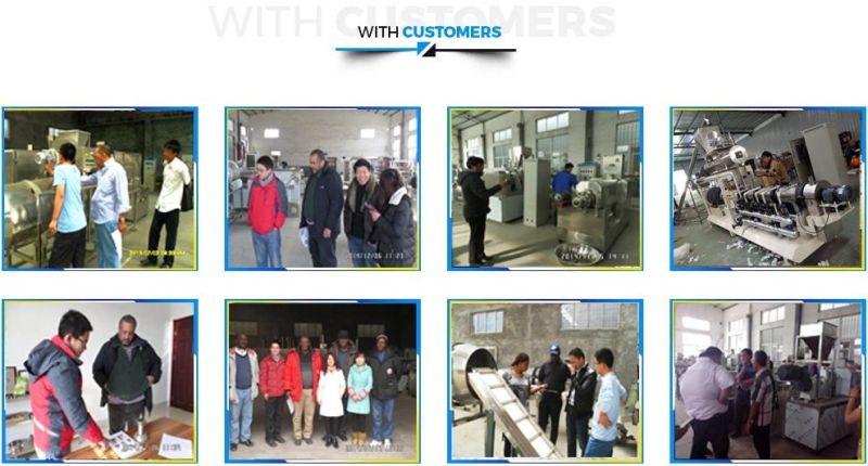 Hot Selling Frying Snacks Food Making Equipment Price