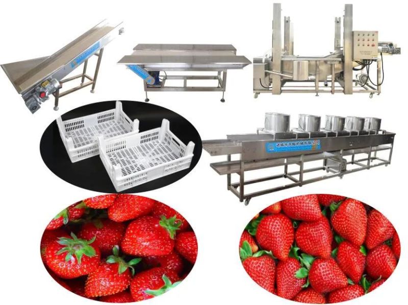 Strawberry Washing and Drying Line Strawberry Washer Machine