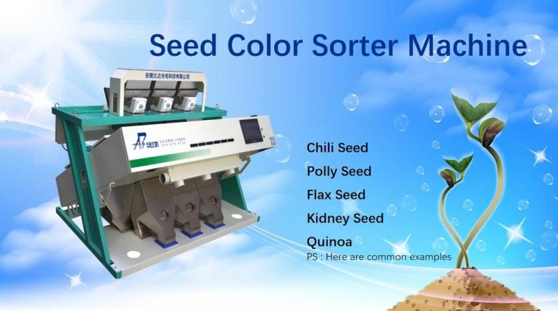 Seed Cleaning Machine CCD Seeds Color Sorting Machine for Paddy Wheat Corn Selecting