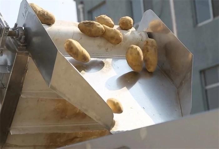 Automatic Sweet Potato Finger Sticks Production Plant