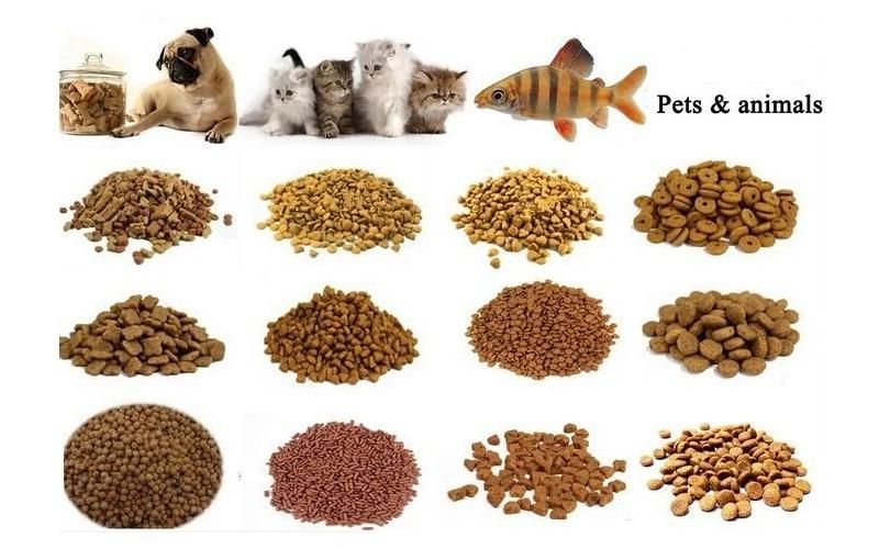 Floating Pellet Fish Feed Production Line Extruder Equipment