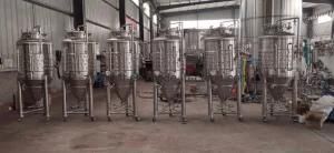 Brewing 1000L Beer Brewing Machine Equipment Turnkey Project