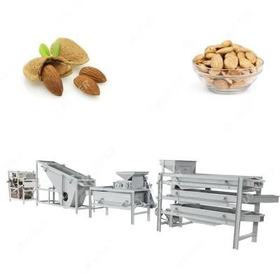 Walnut Cracking Shelling Electric Nut Cracker Machine Apricot Kernel Almond and Hazelnut ...