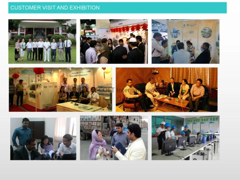 Global 500 Cofcoet Wheat Maize Rice Flour Complete Production Line