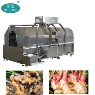 500-1000kg/H Africa Fresh Ginger Washing Machine