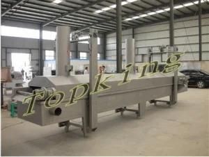 Continuous Frying Machine (TPYZJ)
