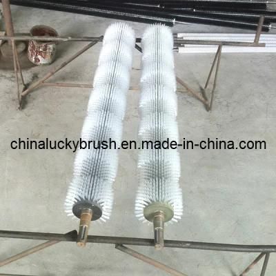 Nylon Potato or Fruit Polishing Roller Brush with Axle (YY-245)