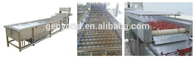 High Efficiency Dates Washing and Sorting Line