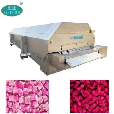 Quick Frozen Pitaya Diced Machine Frozen Dragon Fruit Processing Line