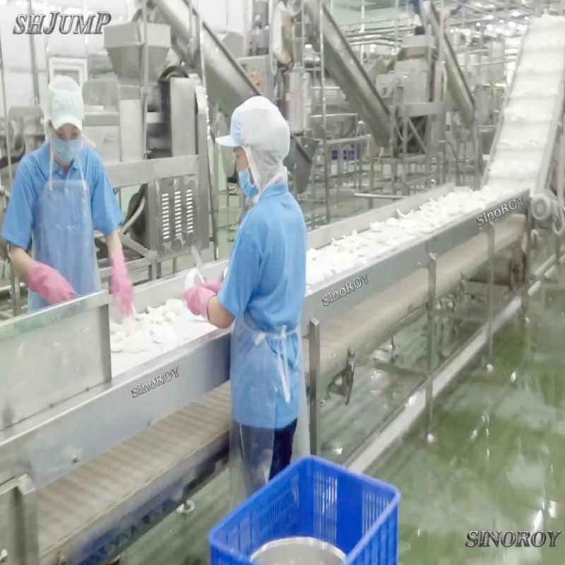 24 Tons Per Hour Coconut Milk Processing Line Coconut Cream Processing Line Coconut Water Processing Line