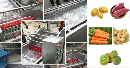 Food Grade Vegetable Cutting Washing Dehydrating Packing Line Fresh Salad Machine Fruit&Vegetable Production