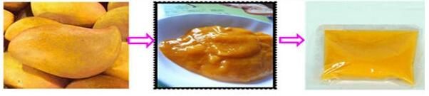 Complete Mango Jam Processing Machine