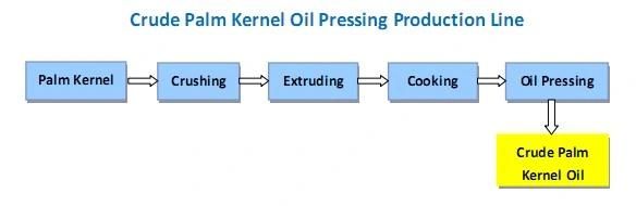 Palm Kernel Oil Making Machine,
