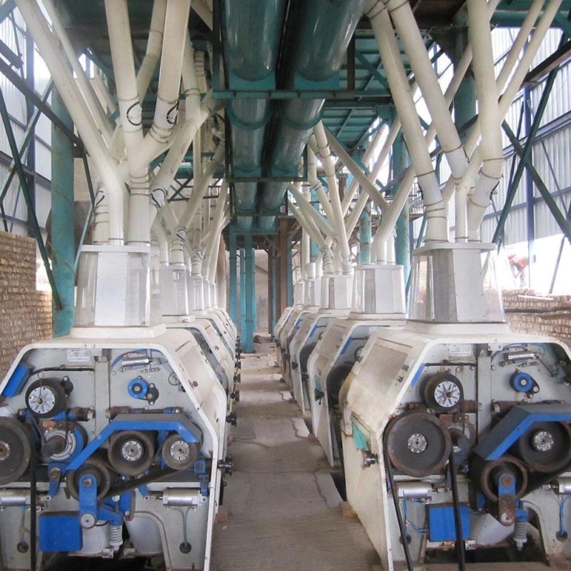 The Price of 200t Designed Wheat Flour Milling Machines Easy Operation with Advanced Technology for Africa